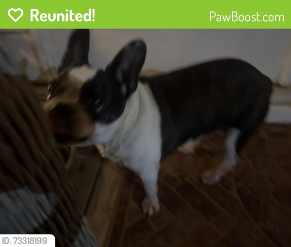 Reunited Female Dog last seen Steven’s restaurant in Arcadia, Winston-Salem, NC 27127