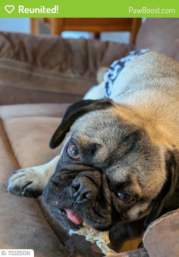 Reunited Male Dog last seen WSU Vancouver campus, Ridgefield, WA 98642