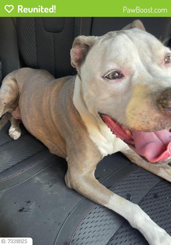 Reunited Unknown Dog last seen 101st & Elm - Broken Arrow, Broken Arrow, OK 74012