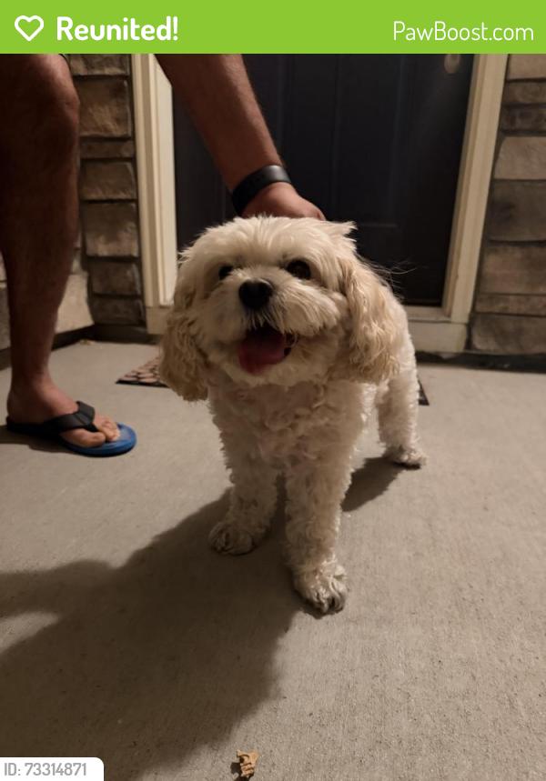 Reunited Unknown Dog last seen Aspen Reserve park (120th and Quebec), Thornton, CO 80602