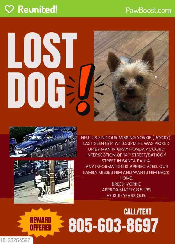 Reunited Male Dog last seen 14th street Santa Paula, Santa Paula, CA 93060
