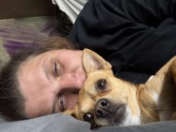 Lost Male Dog last seen Holly and 60th, Commerce City, CO 80022
