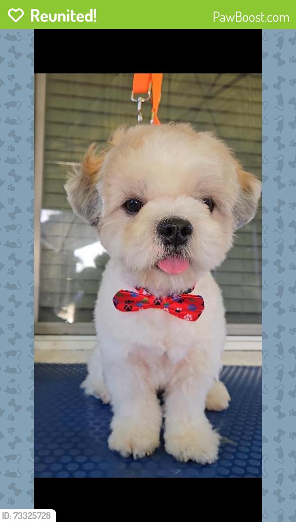 Reunited Male Dog last seen Fall River Dr and Dallas, Modesto, CA 95351