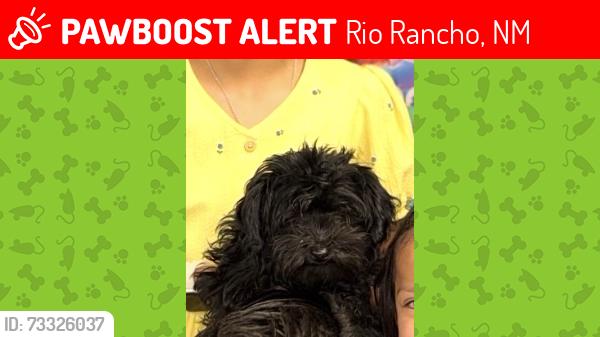 Lost Female Dog last seen Near sarah rd, Rio Rancho, NM 87124