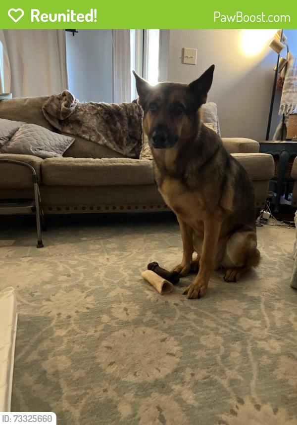 Reunited Male Dog last seen Witherspoon Dr, Richmond, TX 77406