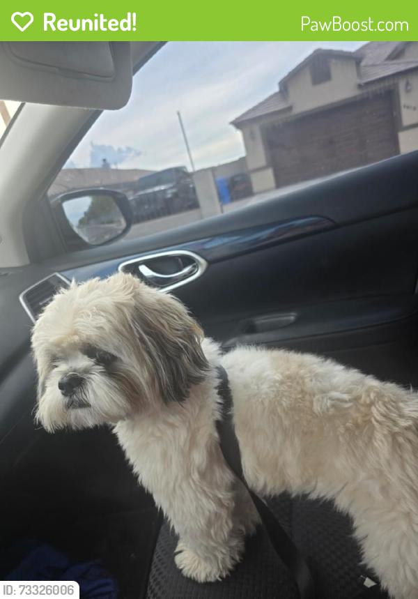 Reunited Male Dog last seen Near W Bowker St, Phoenix, AZ 85041, USA, Phoenix, AZ 85041