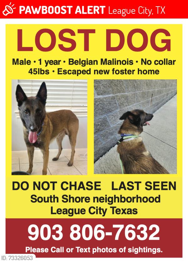 Lost Male Dog last seen South shore blvd, League City, TX 77573