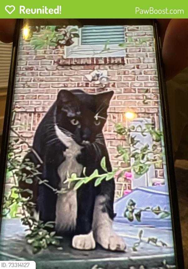 Reunited Unknown Cat last seen Angier Ave and Arnold Street near Old Fourth Ward Park, Atlanta, GA 30308