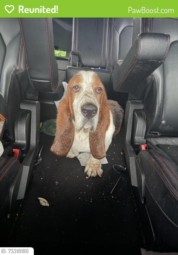 Reunited Male Dog last seen K2 Academy and Gossip & Co Nail Spa, Houston, TX 77429