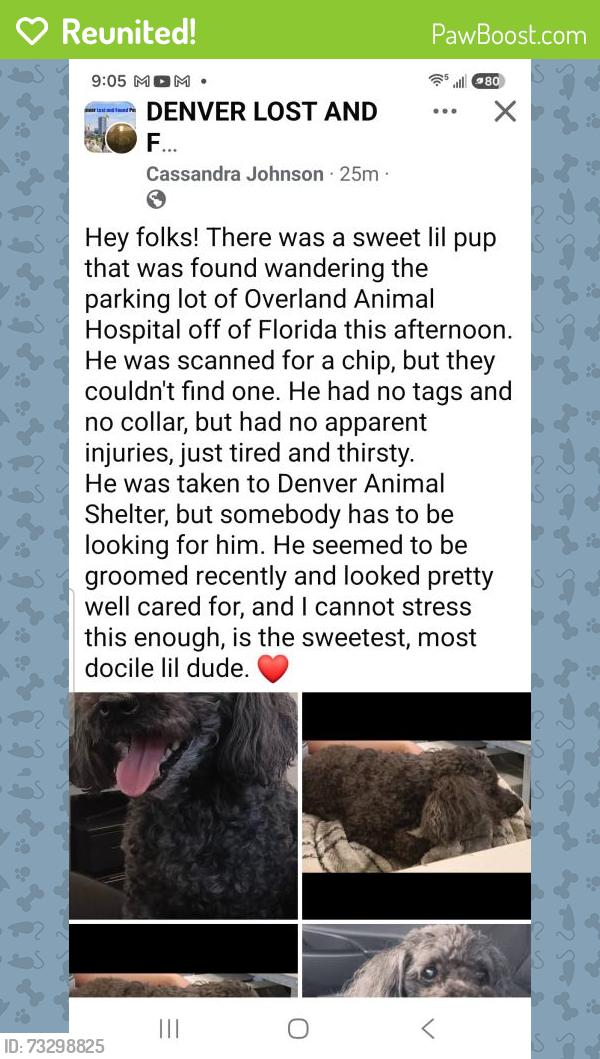 Reunited Male Dog last seen Overland Animal hosp Florida 80219, Denver, CO 80223