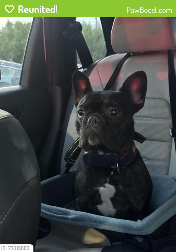 Reunited Male Dog last seen Woodrow Park , Woodrow Street in Virginia Avenue, Fayetteville, NC 28305