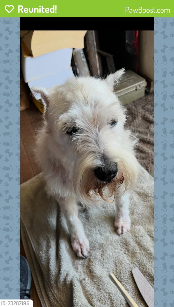 Reunited Male Dog last seen Liberty St and Roff, Oklahoma City, OK 73107