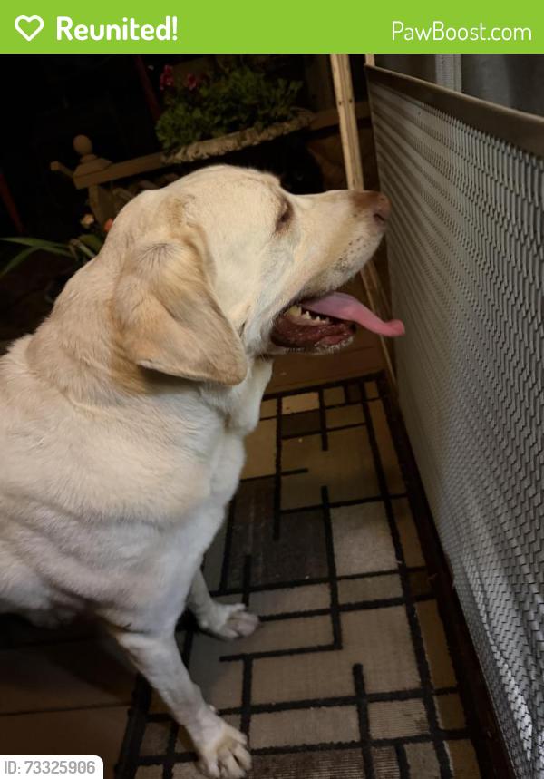 Reunited Male Dog last seen Velarde and Arboles, Thousand Oaks, CA 91360