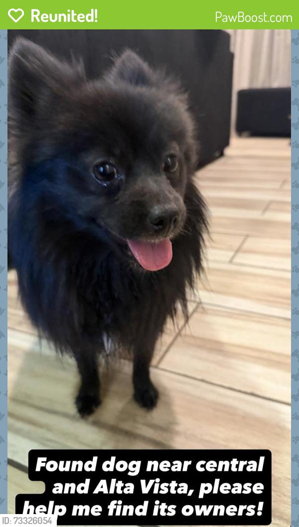 Reunited Male Dog last seen Central ave and Alta vista, Phoenix, AZ 85040
