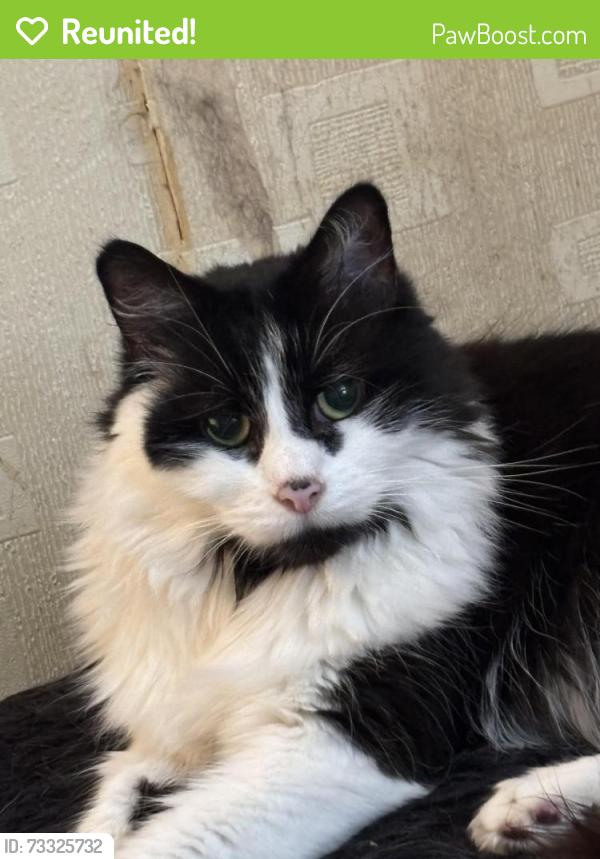 Reunited Male Cat last seen Came home, Greenacres, England 