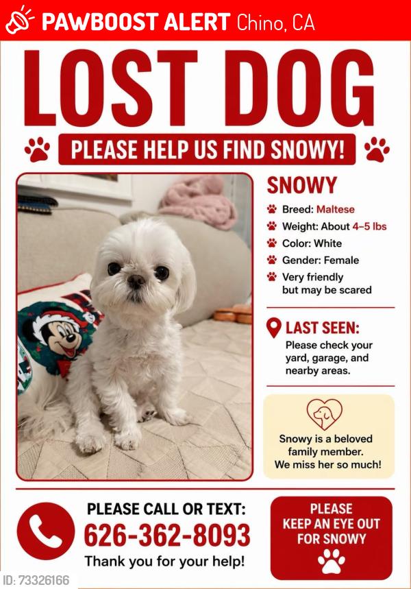 Lost Female Dog last seen Rochester Ave chino, Chino, CA 91710