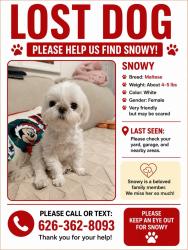Lost Female Dog last seen Rochester Ave chino, Chino, CA 91710