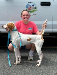 Reunited Male Dog last seen on robert peele ave fremont nc, Fremont, NC 27830