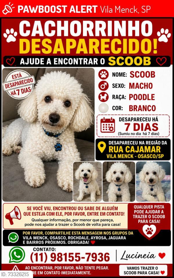Lost Male Dog last seen Rua cajamar 155 vila menck osasco, Vila Menck, SP 