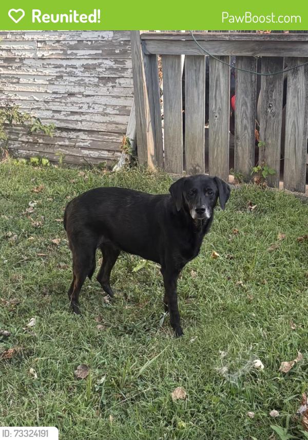 Reunited Unknown Dog last seen 63rd & Oak, Kansas City, MO 64110