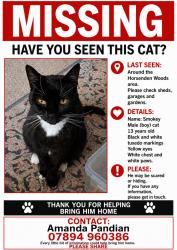 Lost Unknown Cat last seen Woodland Rise UB6 0RD, Greater London, England UB6 0RD