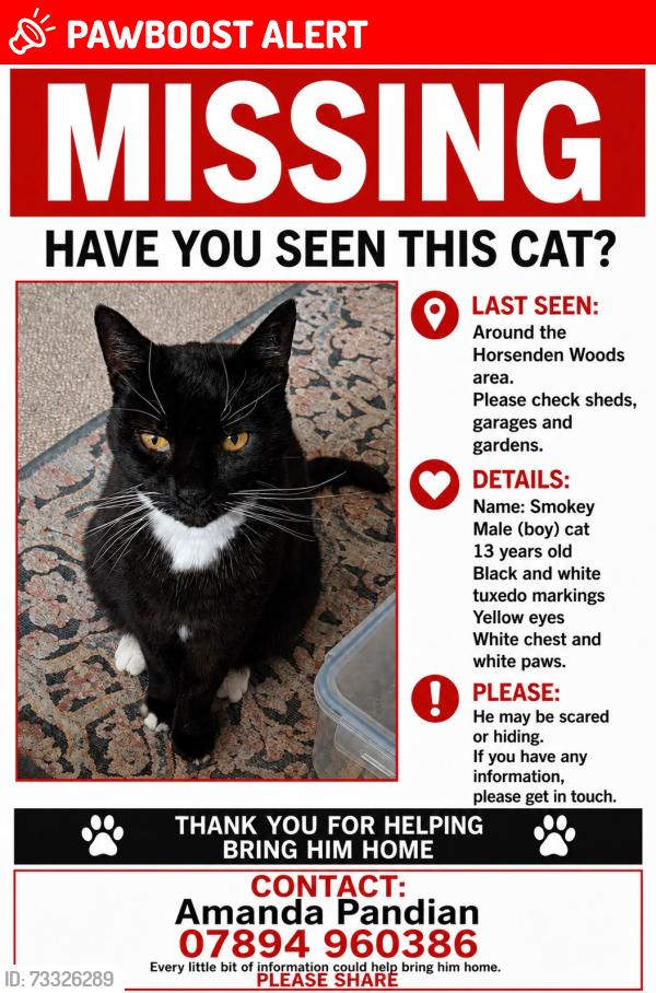 Lost Unknown Cat last seen Woodland Rise UB6 0RD, Greater London, England UB6 0RD