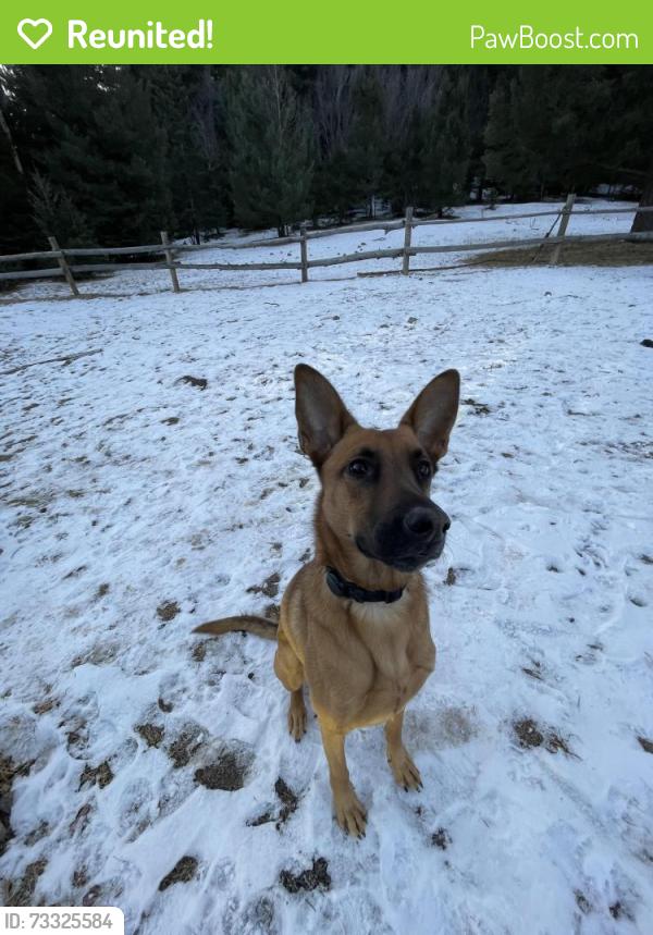 Reunited Female Dog last seen Walden Pond Apt, College Station, TX 77840