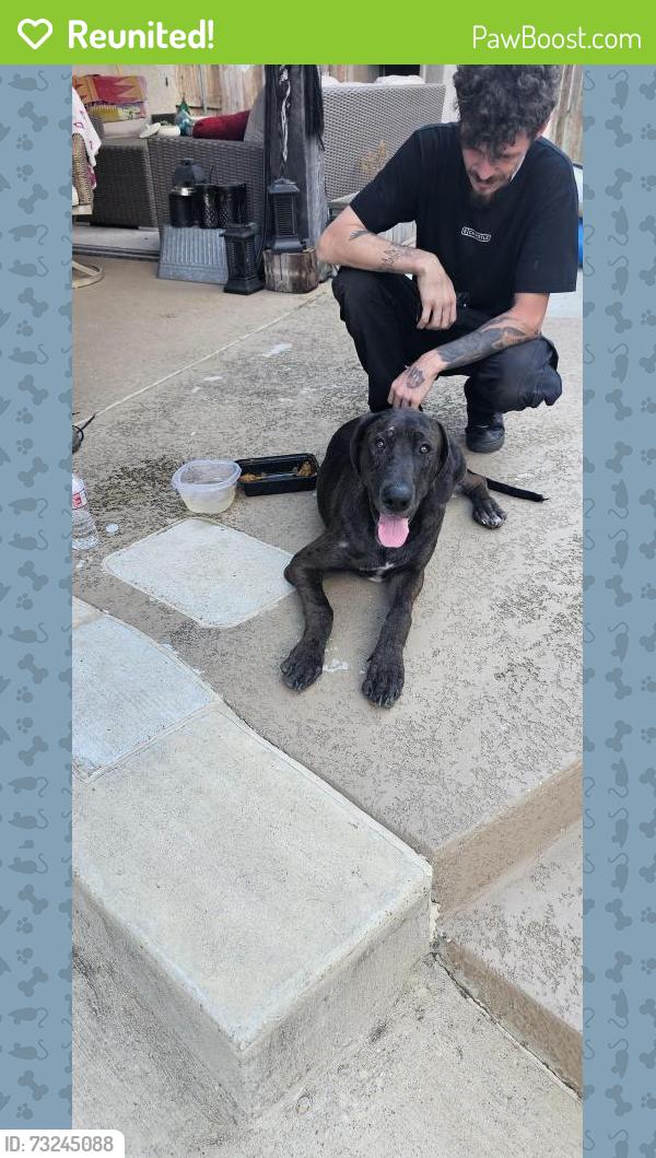 Reunited Male Dog last seen Haymarket Dr, Temple, TX 76502