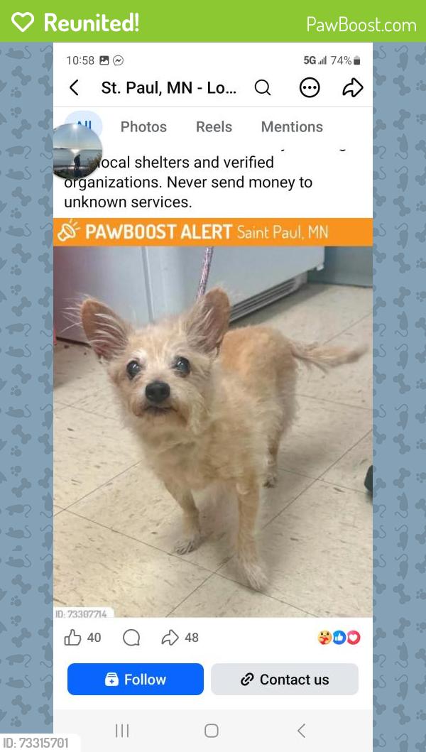 Reunited Male Dog last seen Isabel and livingston, Saint Paul, MN 55107