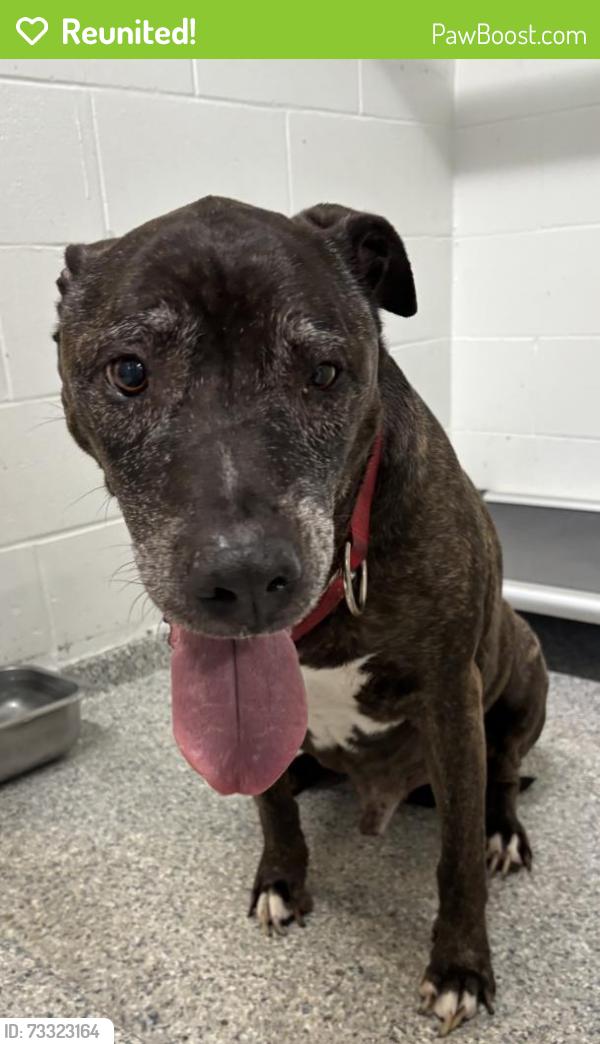 Reunited Unknown Dog last seen Port St. Lucie, Port St. Lucie, FL 34986