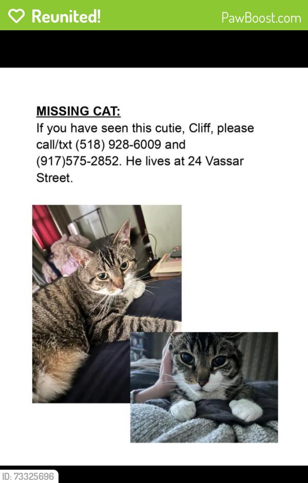 Reunited Male Cat last seen Vassar st and Lafayette pl, Poughkeepsie, NY 12601