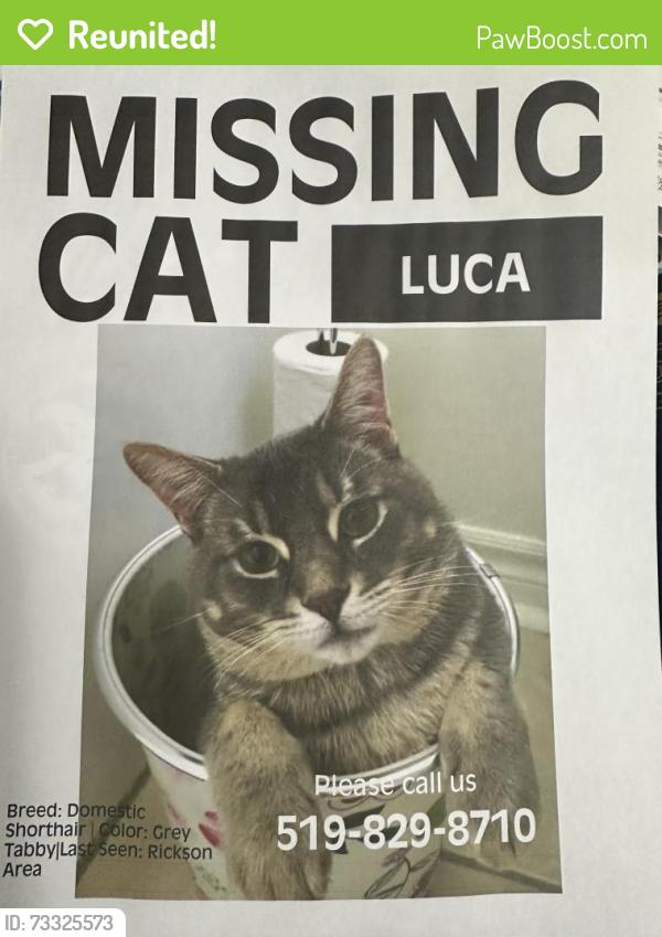 Reunited Male Cat last seen Kron & Rickson, Guelph, ON N1G 3A3