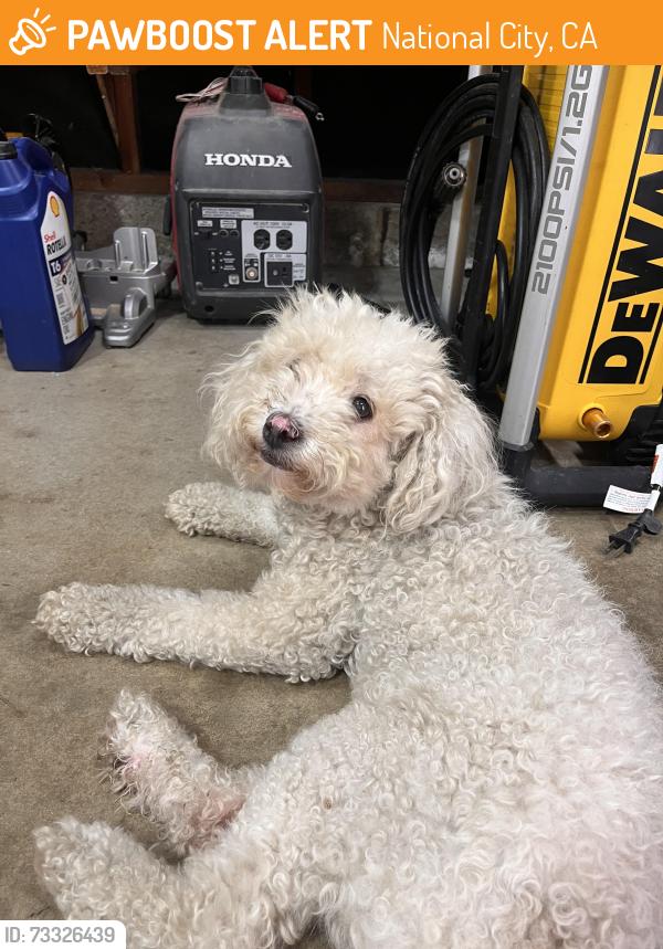 Found/Stray Female Dog last seen Near Divison St, National City, CA 91950