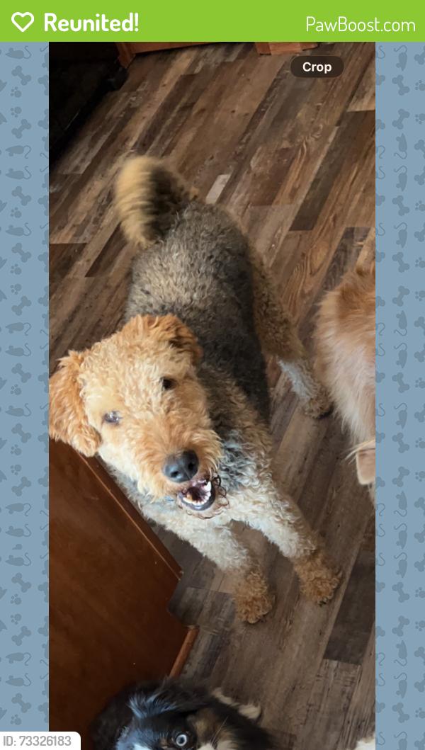 Reunited Female Dog last seen 79th and Lackman, Lenexa, KS 66215