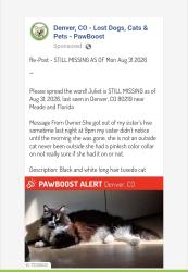 Reunited Female Cat last seen Meade and Florida, Denver, CO 80219