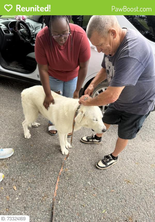 Reunited Male Dog last seen Vocal Animal Shelter, Ocala, FL 34474