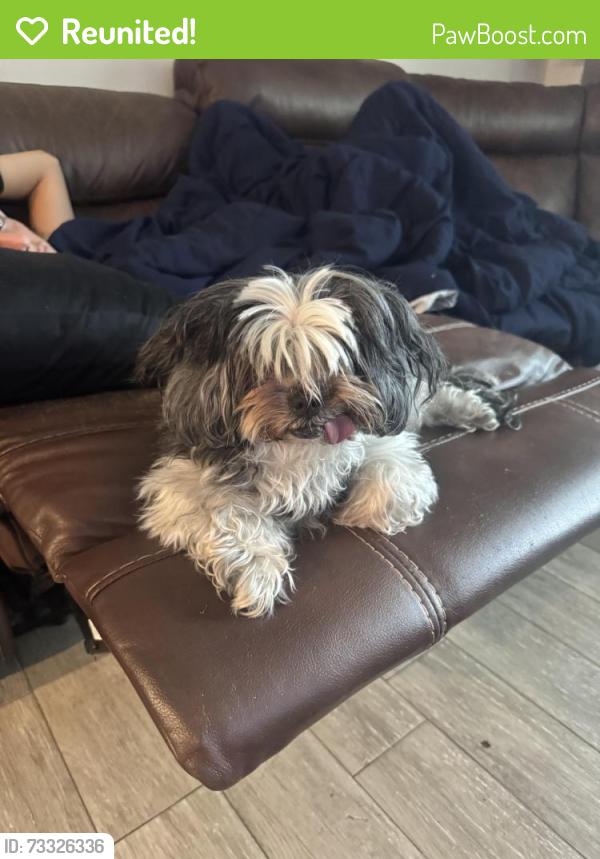 Reunited Female Dog last seen Charleston/Green River, Port St. Lucie, FL 34952