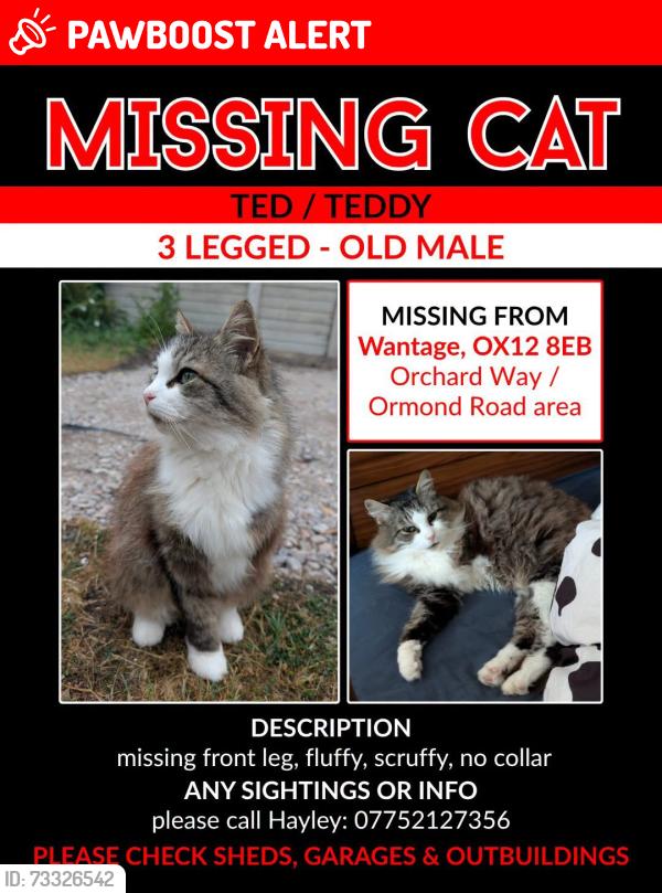 Lost Male Cat last seen Fire Station, Oxfordshire, England 