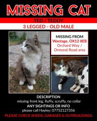 Lost Male Cat last seen Fire Station, Oxfordshire, England 