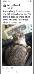 Lost Female Cat last seen Ordsall, Greater Manchester, England 