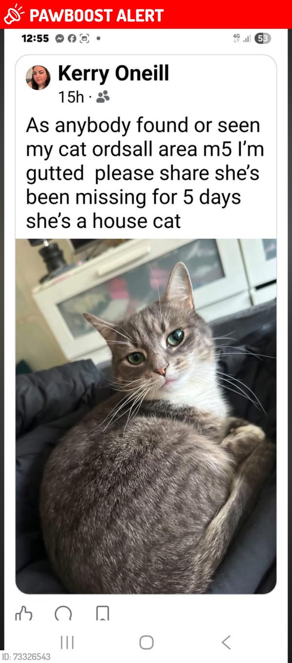 Lost Female Cat last seen Ordsall, Greater Manchester, England 