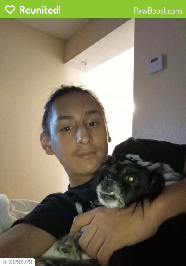 Reunited Female Dog last seen Freds fish fry & Yarzil Mexican restaurant, San Antonio, TX 78207