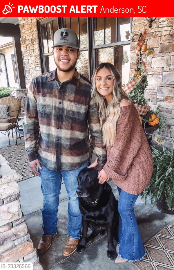 Lost Male Dog last seen Country meadows, dove hallow, sunny hill lane, Dickerson acres, nursery lane, windmill trail, meadowwood drive,, Anderson, SC 29626