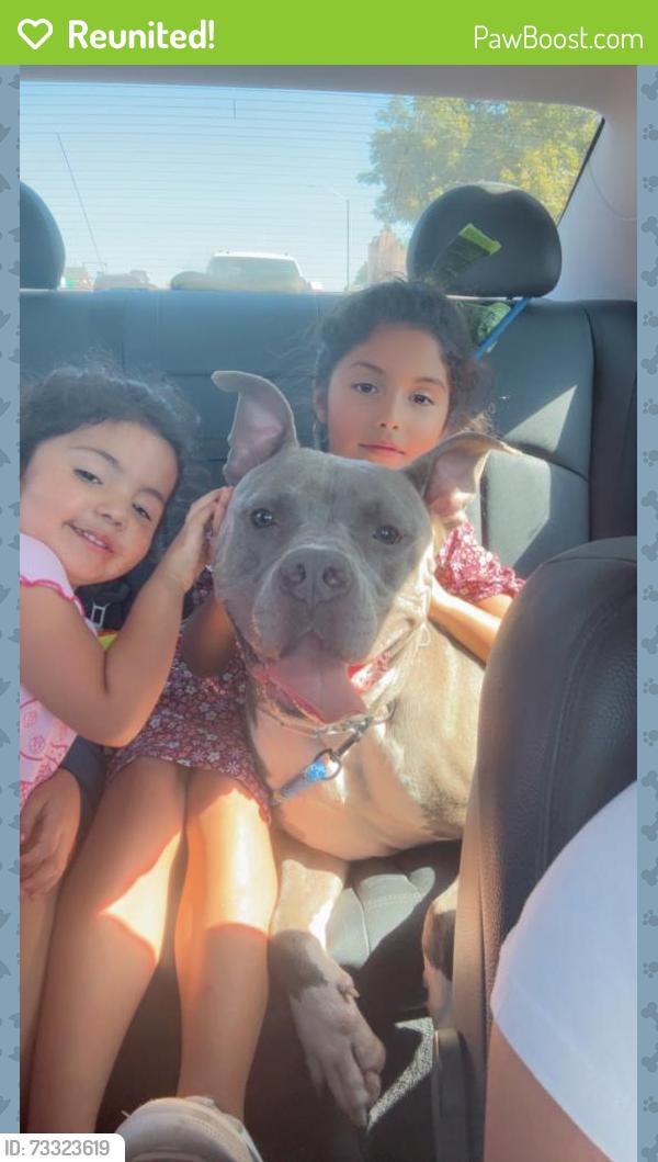Reunited Male Dog last seen Jacksboro highway, Fort Worth, TX 76114