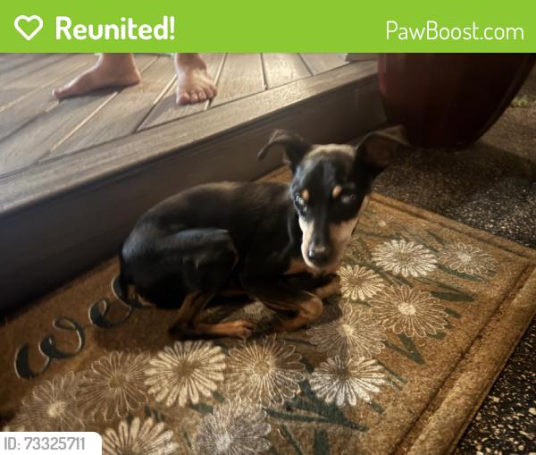 Reunited Male Dog last seen W267 Center St, Krakow, WI 54137, USA, Krakow, WI 54137