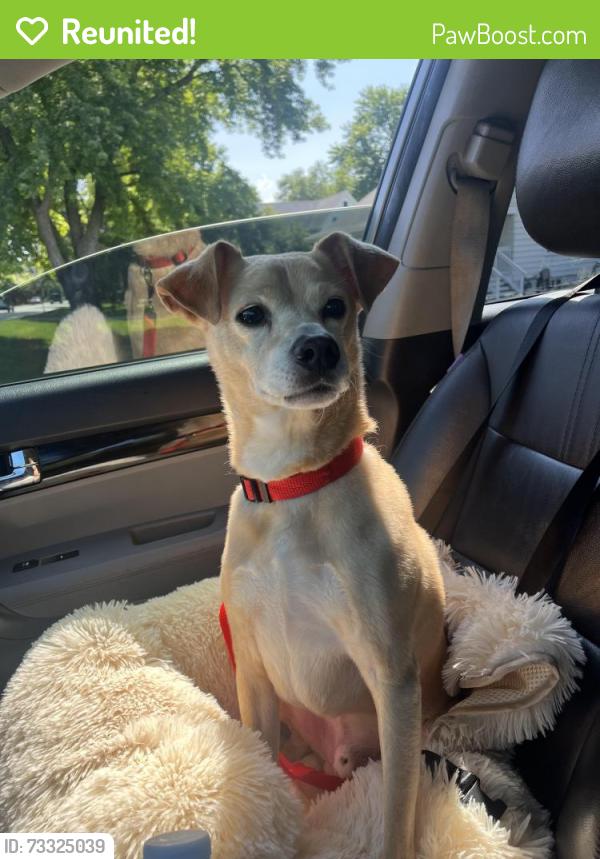 Reunited Male Dog last seen West Galena blvd Aurora IL, Aurora, IL 60506