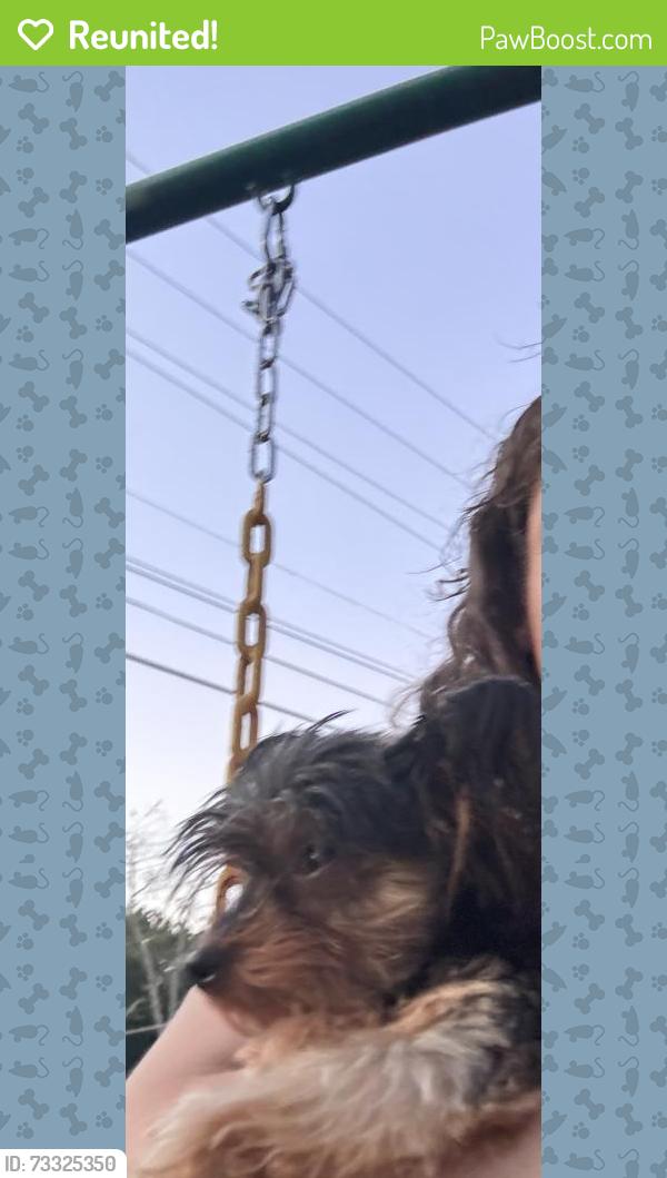 Reunited Female Dog last seen Baker Street, Morristown, TN 37813