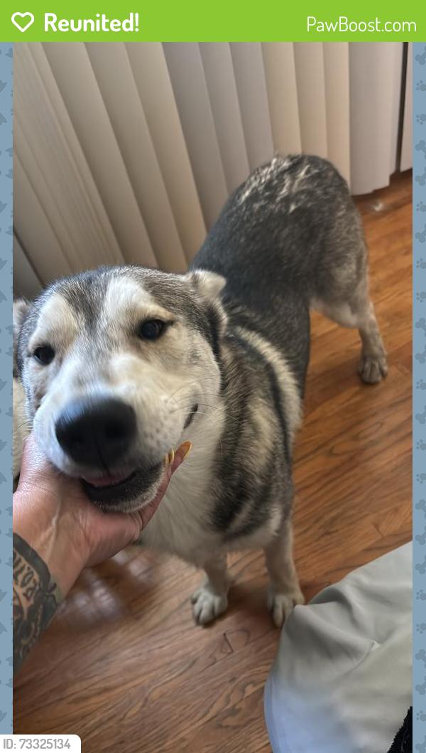 Reunited Male Dog last seen Acacia, Hemet, CA 92583