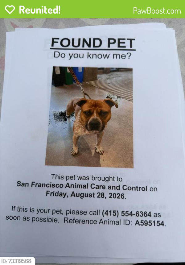 Reunited Male Dog last seen Near Toland St, San Francisco, CA 94124, USA, San Francisco, CA 94124