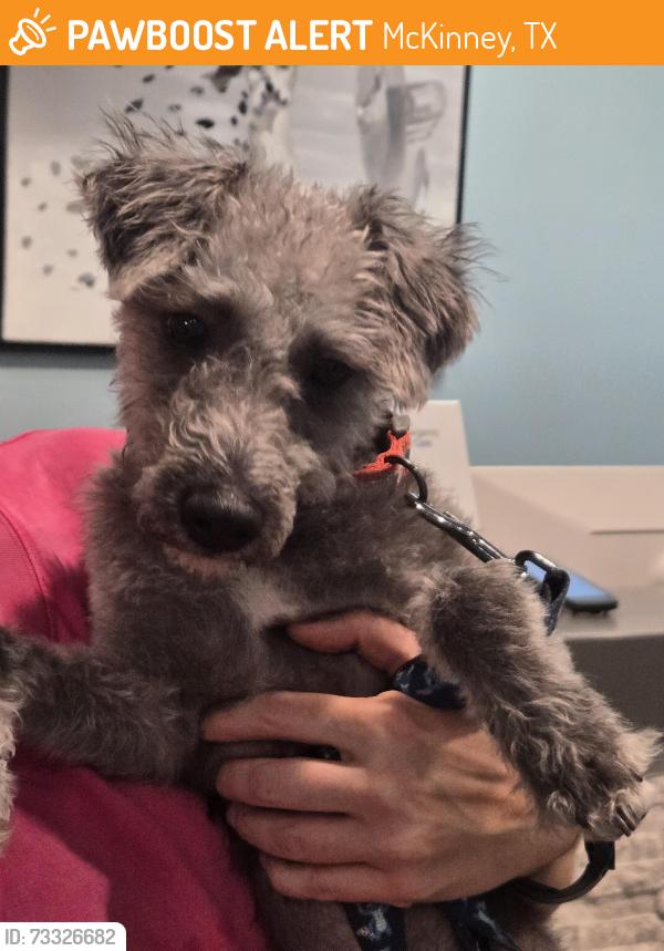 Found/Stray Male Dog last seen CollinMcKinney pkwy/Dr Kenneth Cooper dr, McKinney, TX 75070